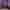 Video Banner 